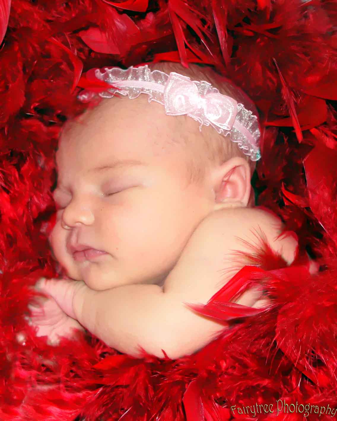 newborn and baby photography